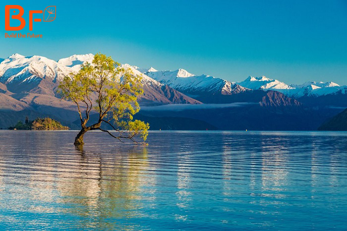 Hồ Tekapo ở New Zealand