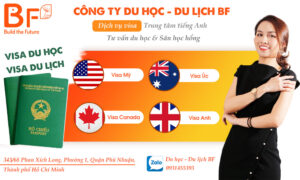 Top 5 Công Ty Dịch Vụ Visa Uy Tín Hàng Đầu Tại Thành Phố Hồ Chí Minh
