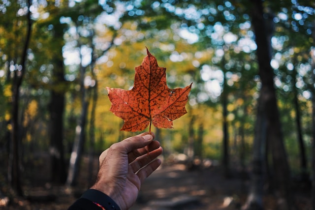 lam viec sau tot nghiep PGWP canada